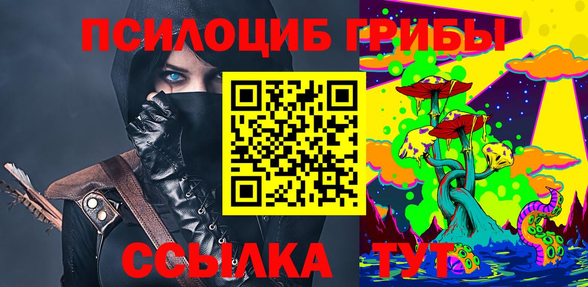 Псилоцибиновые грибы MAGIC MUSHROOMS  Вход с VPN  Звенигород 